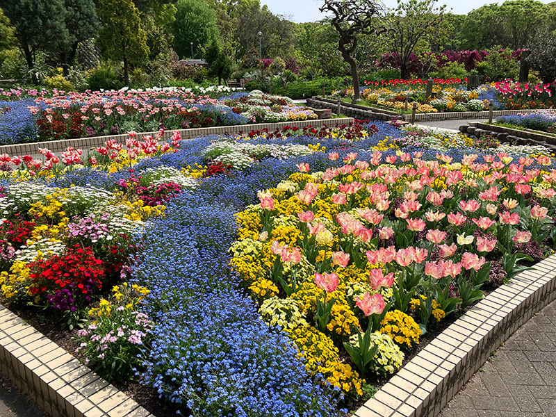 名城公園の景色