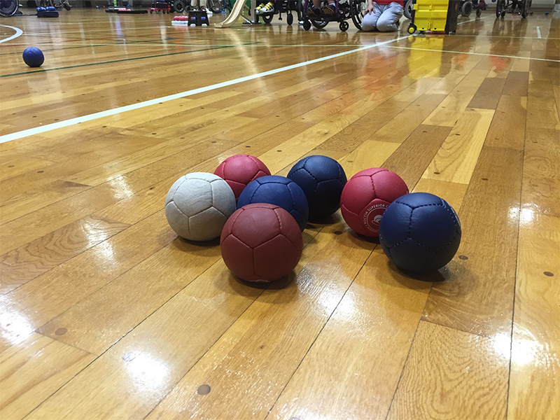 ボッチャのボール