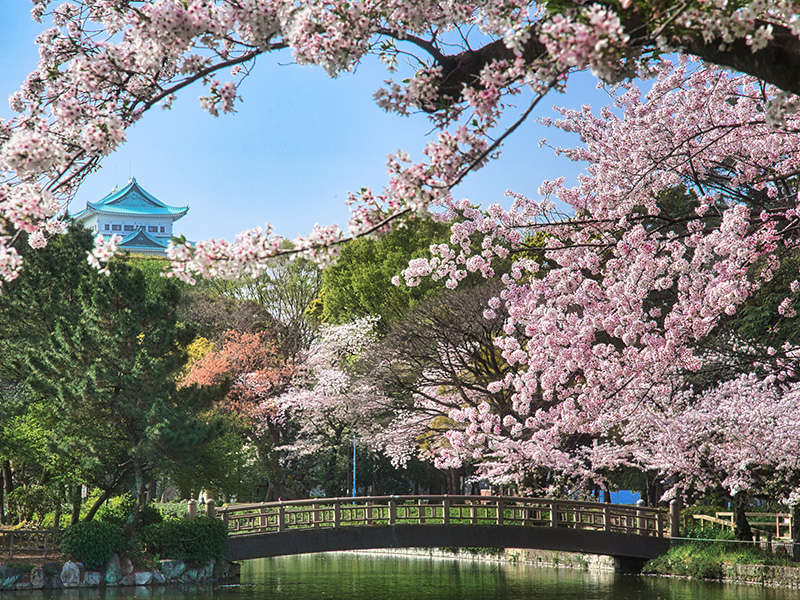 名城公園の外観