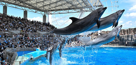 愛知国際アリーナエリア　モデルコースのイメージ写真