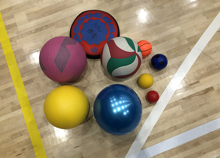 ユニバーサルスポーツで使うボール